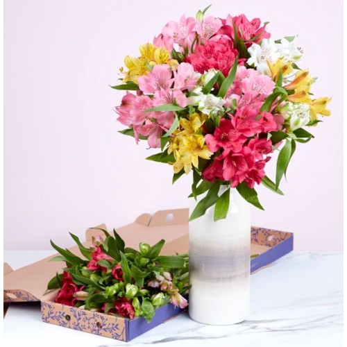 Spring Alstroemeria Letterbox With Luxury Chocolate Bar